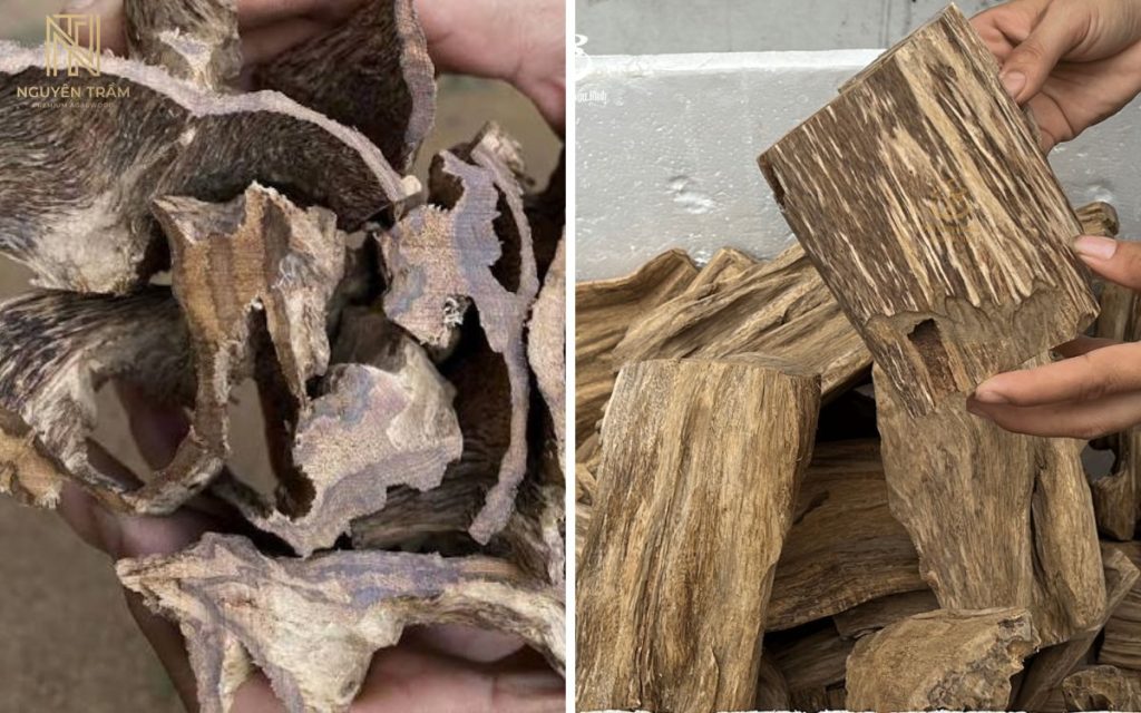 Phôi trầm hương là các khối, miếng hoặc cục gỗ chứa dầu trầm hương nguyên thủy, chưa qua gọt giũa thành phẩm