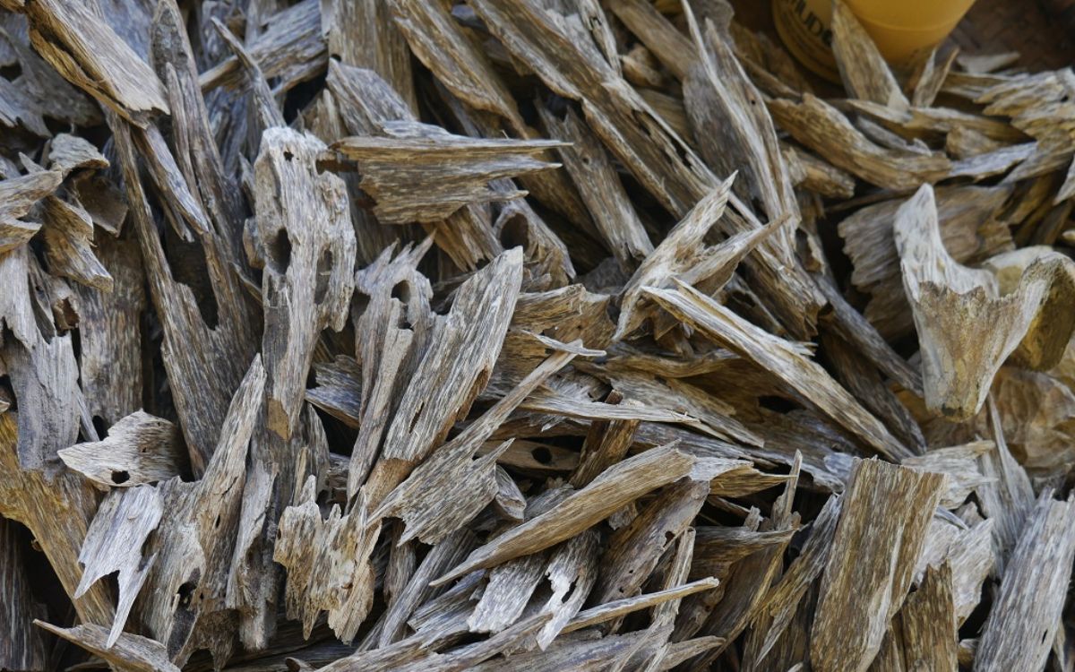 Trầm hương tự nhiên