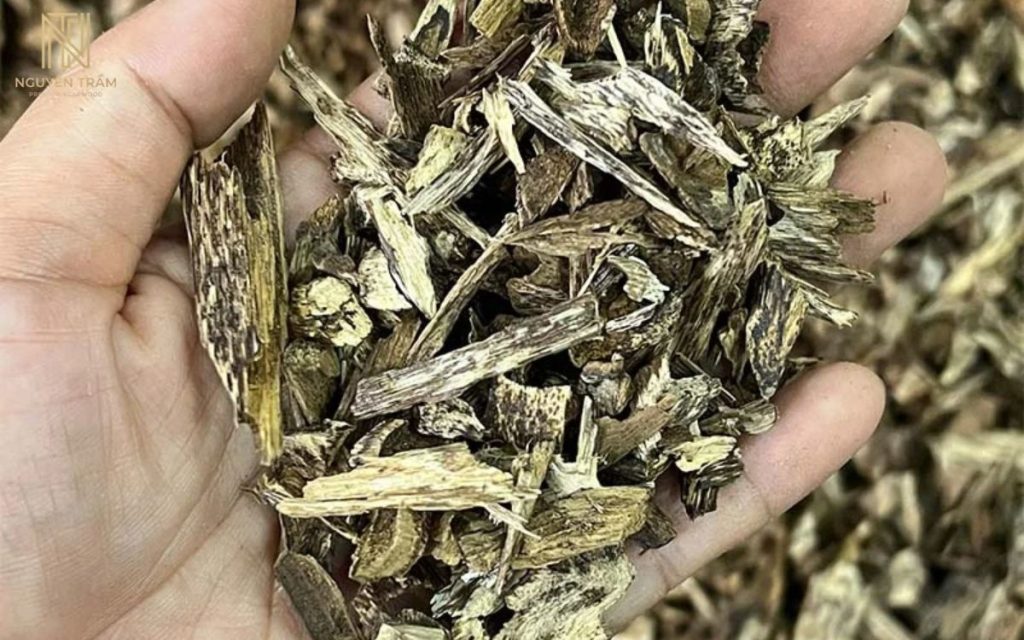 Trầm vụn có chứa nhựa trầm