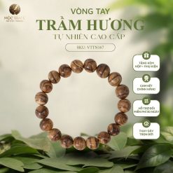 TRẦM BÔNG DẦU PHILLIP – KIỆT TÁC CỦA THIÊN NHIÊN