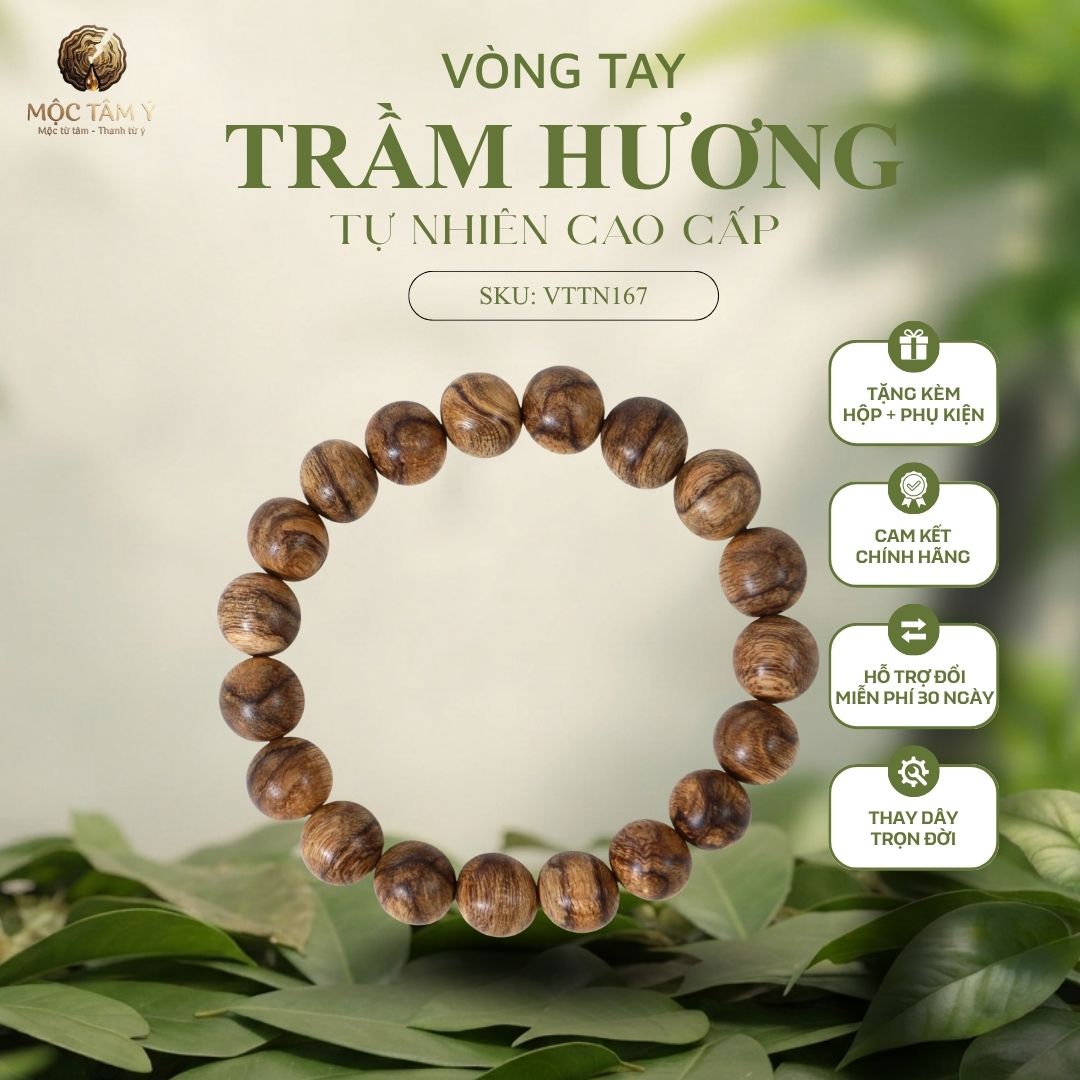 TRẦM BÔNG DẦU PHILLIP – KIỆT TÁC CỦA THIÊN NHIÊN