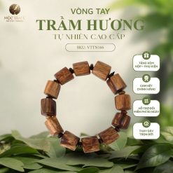 VÒNG TRẦM HƯƠNG PHILLIP TRÚC – BẢN LĨNH & KHÍ TIẾT