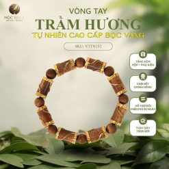 VÒNG TRẦM HƯƠNG TỰ NHIÊN TRÚC VIỆT BỌC VÀNG 18K