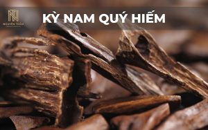 Kỳ nam là một sản phẩm từ gỗ trầm hương với một loại nhựa gỗ có mùi thơm và sẫm màu