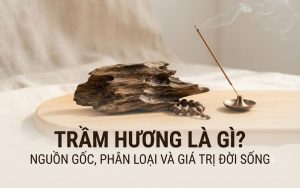 Trầm hương là gì?