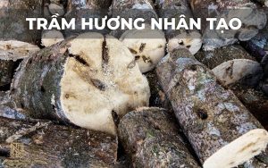Trầm hương nhân tạo là gì?