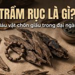 Trầm rục