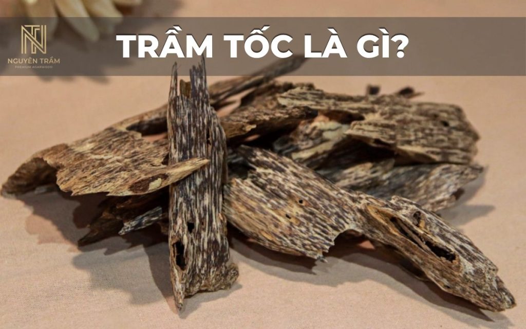 Trầm tốc thường có phần gỗ nền màu vàng nhạt, vàng nâu hoặc nâu sáng, xen kẽ với các đường dầu có màu nâu đậm đến nâu đen