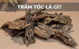 Trầm tốc thường có phần gỗ nền màu vàng nhạt, vàng nâu hoặc nâu sáng, xen kẽ với các đường dầu có màu nâu đậm đến nâu đen
